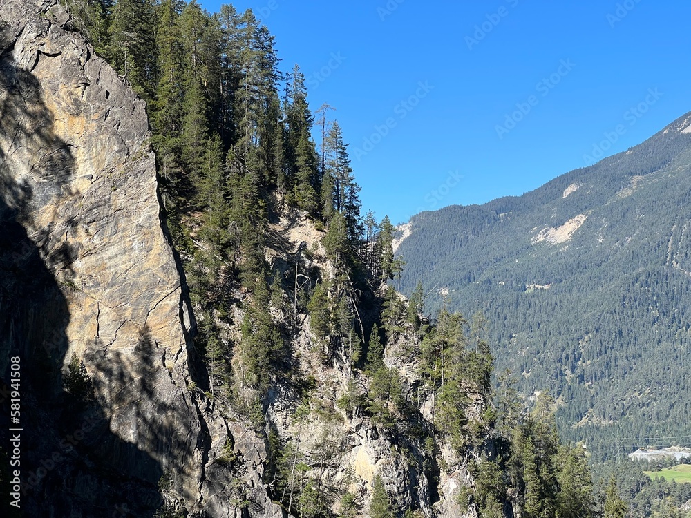 The steep rocks of the Schaftobelbach canyon and the typical evergreen trees on the alpine peaks over the Albula or Alvra river valley - Canton of Grisons, Switzerland (Schweiz)