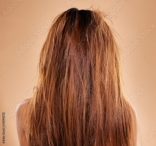 Messy, damaged hair and back of a woman in a studio with a brittle frizzy hairstyle before a treatment. Dirty, dry and female model with long, tangled and knot texture isolated by a brown background.