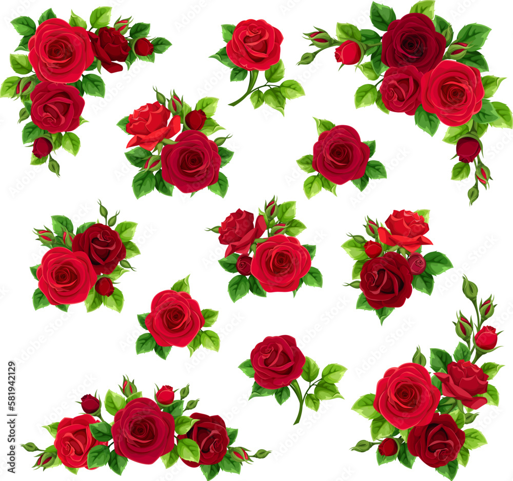 Red roses. Set of vector design elements with red rose flowers isolated