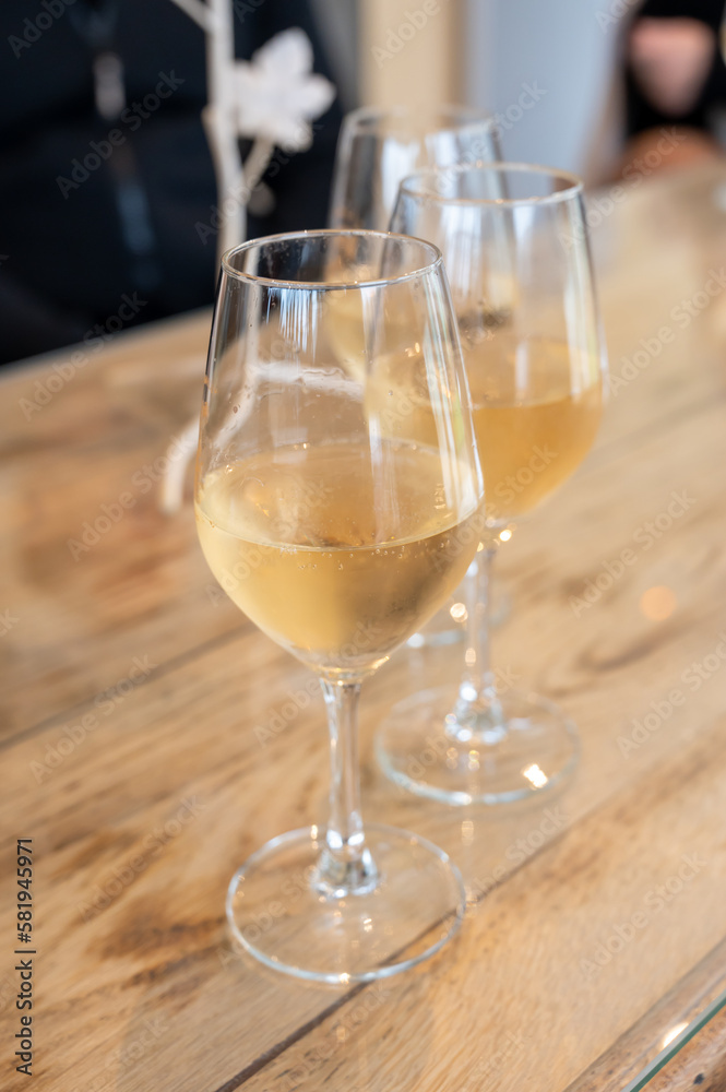 Tasting of cold brut Champagne sparkling wine in cellars of gran cru wine house in near Reims, wine tour in Champagne, France