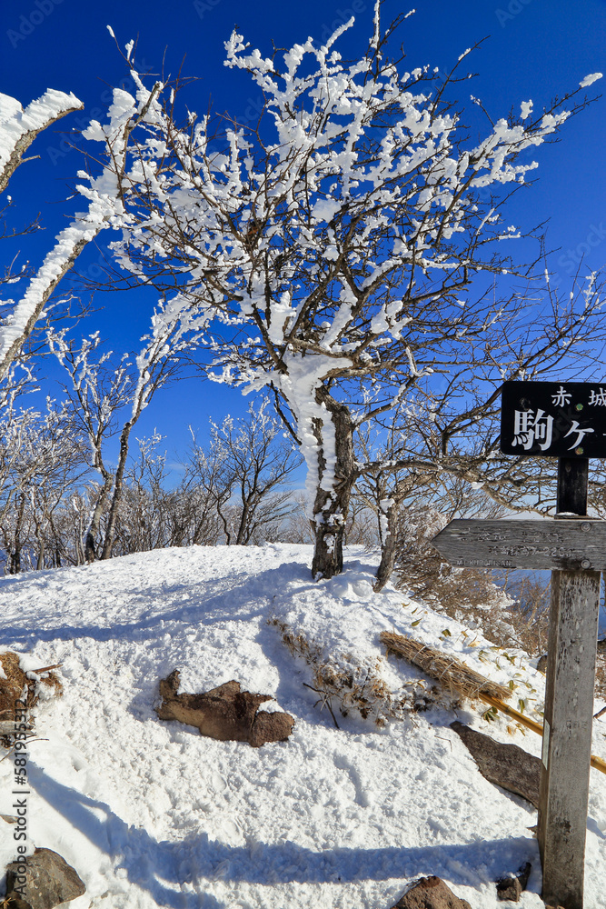 厳冬期の赤城山の風景 ( 駒ヶ岳山頂の展望 )