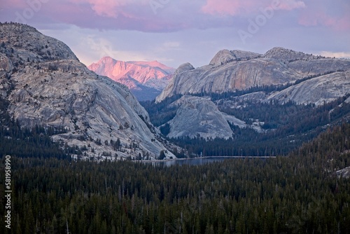 The high country of Yosemite glows in purple and pinkish tones with towering rock formations in the backgorund and Tenaya Lake in the foreground