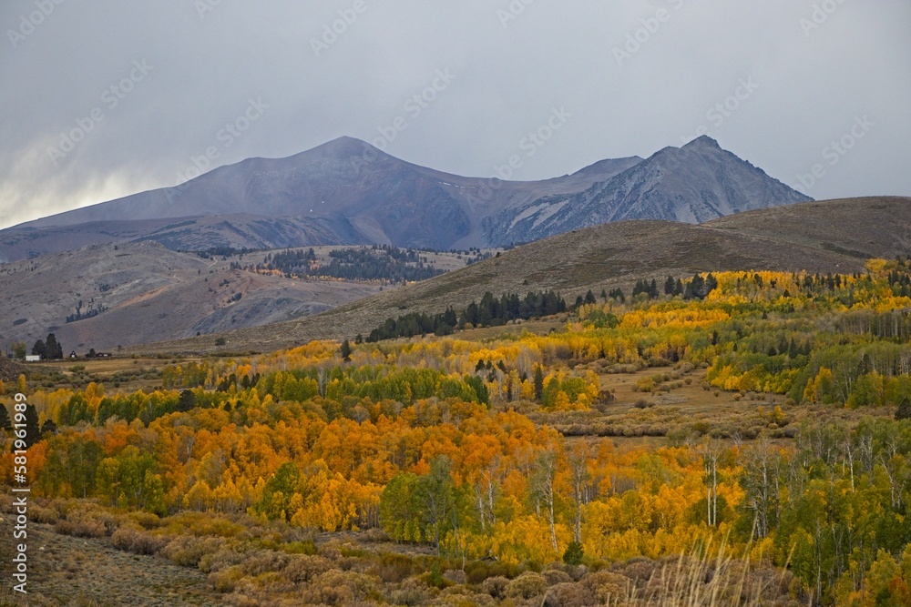 Fall colors begin to display in the Eastern Sierra region of California.