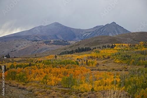 Fall colors begin to display in the Eastern Sierra region of California.