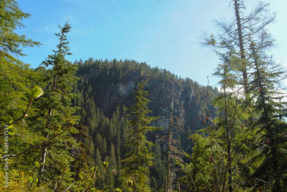 Sub-alpine terrain in Strathcona Provincial Park, Vancouver Island, British Columbia, Canada