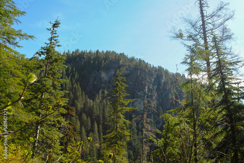 Sub-alpine terrain in Strathcona Provincial Park, Vancouver Island, British Columbia, Canada
