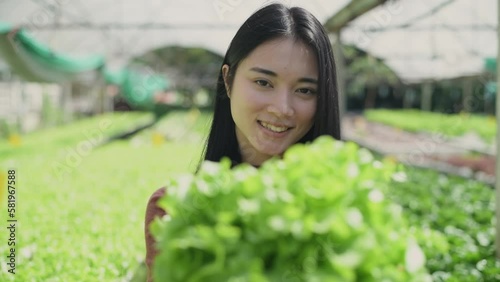 agriculture concept of 4k Resolution. Asian woman carrying vegetables with a smile in a greenhouse. Intends to deliver the best to customers.