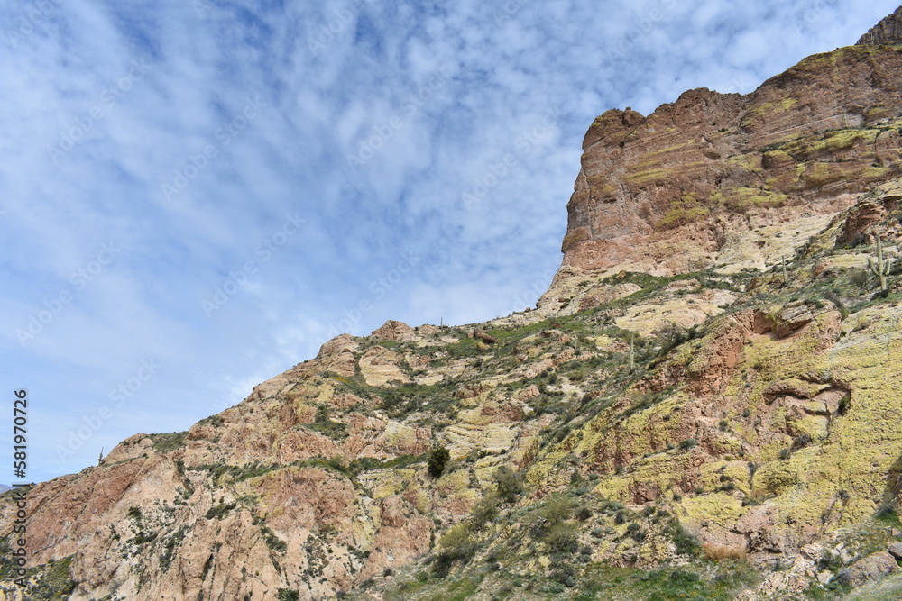 Spring in the Superstition Mountains, Cliff on Picketpost Mountain 