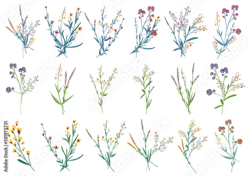 Big set botanic blossom floral elements. Small drawing branches  leaves  herbs  wild plants  flowers. Garden  meadow  field collection leaf  foliage  branches. Bloom bouquets vector illustration