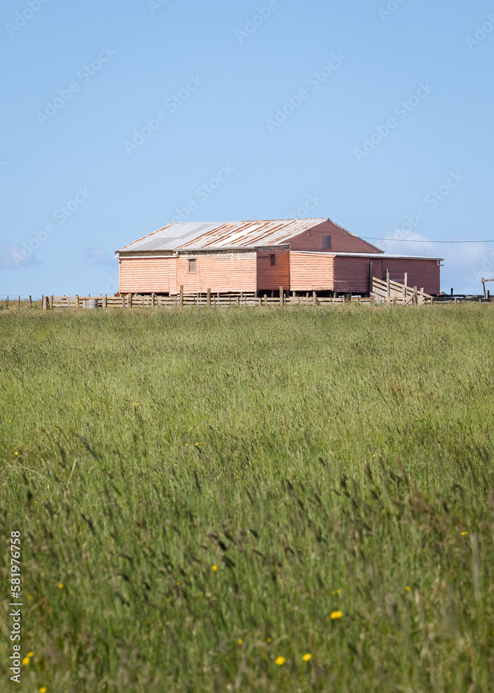 Old barn or shed made of wood and corrugated iron in a field in outback Australia