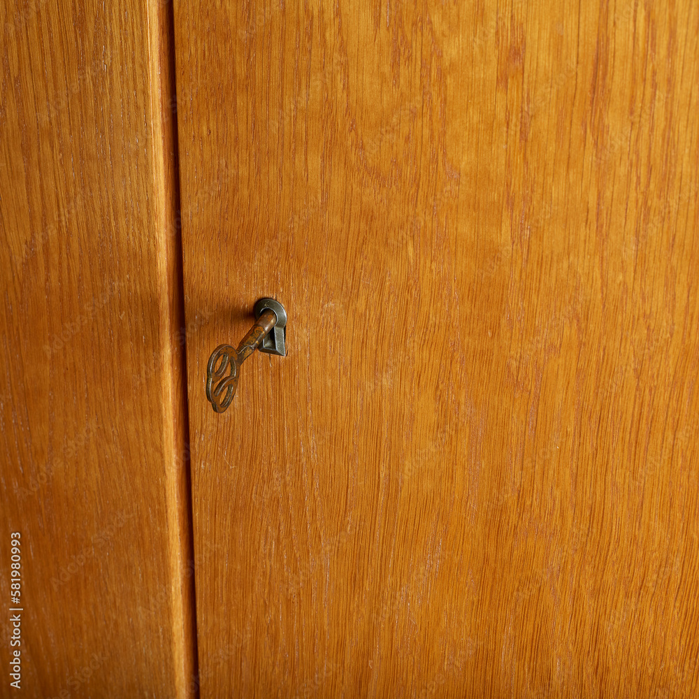 Vintage 1960s oak wood armoire. MidCentury Modern furniture. Detail