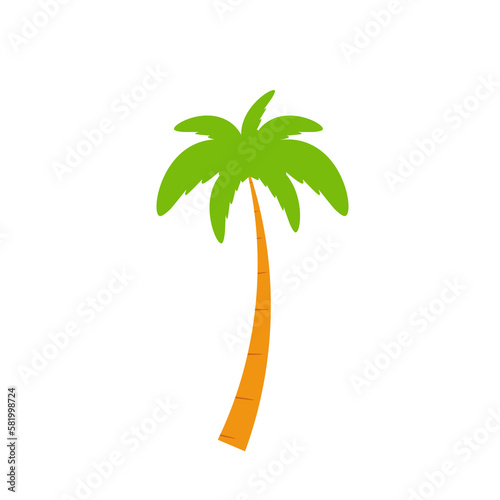 Beach coconut tree  seaside palm tree  coconut tree or island palm tree.