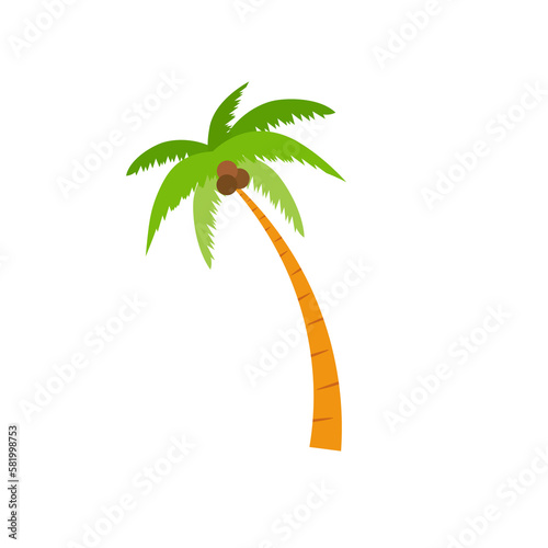 Beach coconut tree, seaside palm tree, coconut tree or island palm tree.
