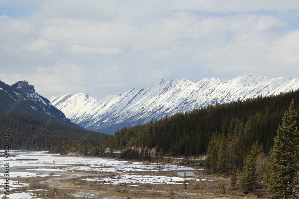 Fototapeta premium Spring Along Endless Ridge, Jasper National Park, Alberta