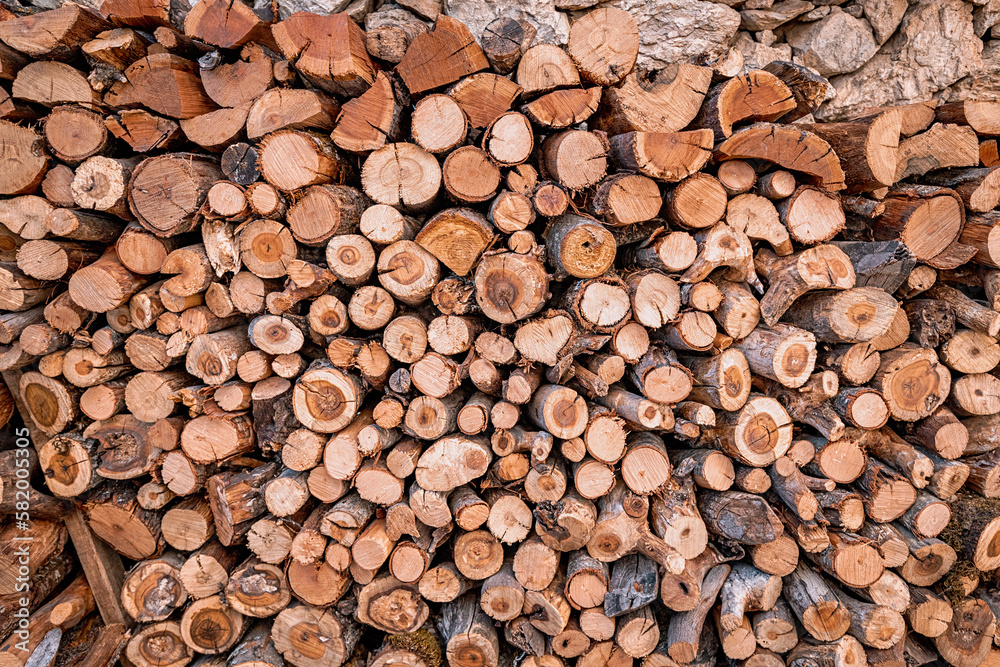 A lot of sawn branches and trunks of different diameters as decoration. Wooden background and construction material A lot of sawn branches and trunks of different diameters as decoration. Wooden background and construction material
