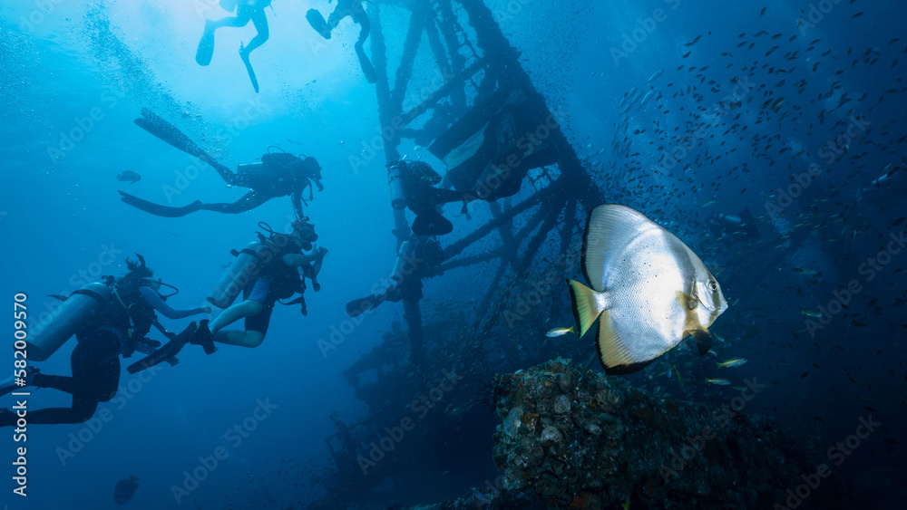 Underwater shot of HTMS Chang wreck ship with school of fish and scuba divers. The ship built for the US Navy during World War II. A scuba diving shipwreck dive site near Koh Chang in Trat, Thailand. Underwater shot of HTMS Chang wreck ship with school of fish and scuba divers. The ship built for the US Navy during World War II. A scuba diving shipwreck dive site near Koh Chang in Trat, Thailand.