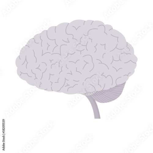 Isolated of human brain illustration in flat vector.