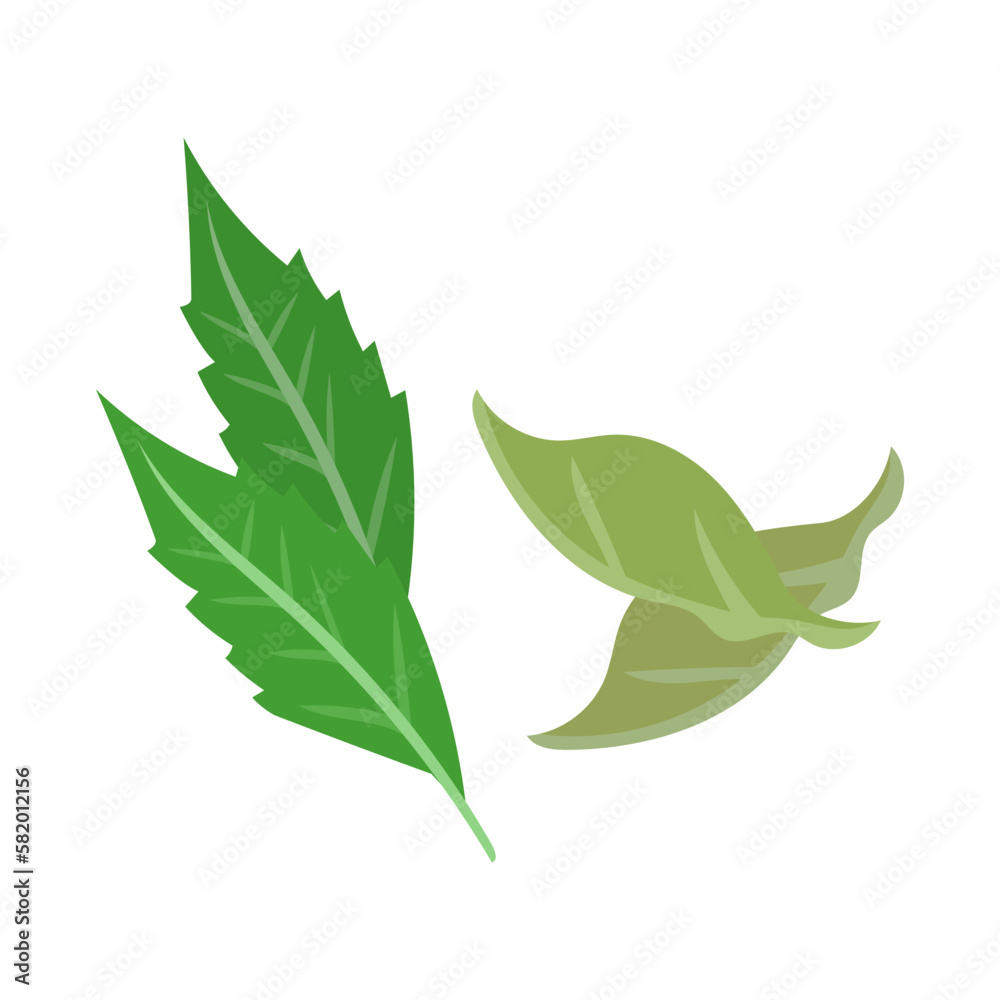 カレーリーフ。フラットなベクターイラスト。
Curry leaf. Flat designed vector illustration. カレーリーフ。フラットなベクターイラスト。
Curry leaf. Flat designed vector illustration.