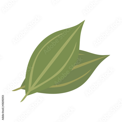 ベイリーフ。フラットなベクターイラスト。
Bay leaf. Flat designed vector illustration.