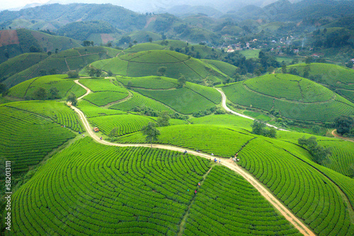 See the winding dirt road on Long Coc tea hill seen from above in Phu Tho province, Vietnam