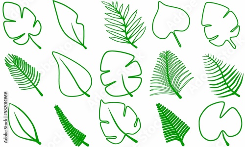 Set of green leaf  line elements vector on white background for decorating wallpaper, artworks ,presentations