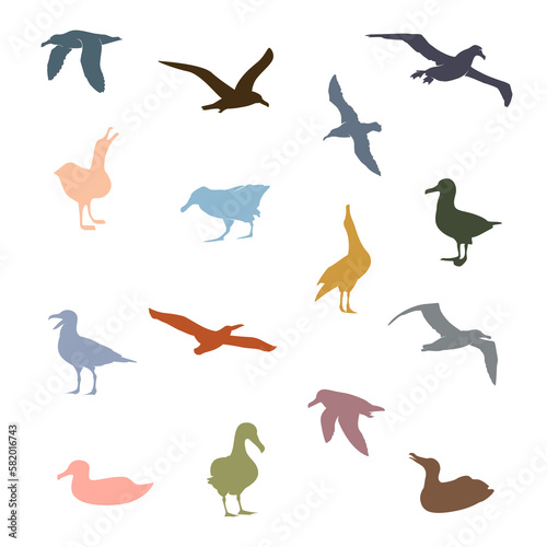 Albatross Bird Icon. Colorful Seagulls Vector Illustration © Apoloart