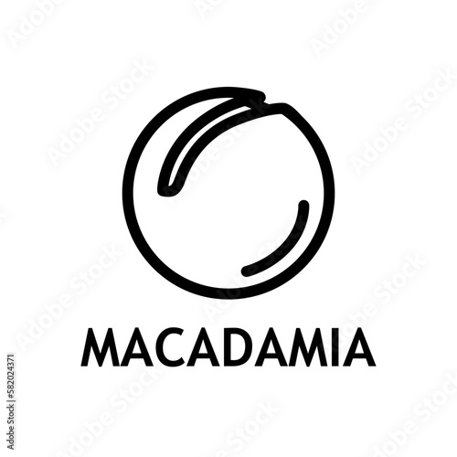 Macadamia color icon. Healthy protein food. Organic nut gor diet or oil ingridient. Vector illustration snack in outline style