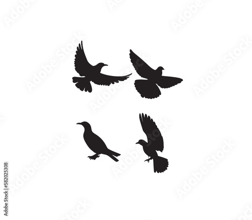 pigeon silhouette vector © mr