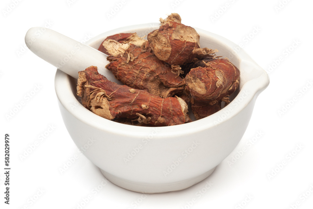 Obraz premium Closeup of Dry Kulanjan (Alpinia galanga) roots, in white ceramic mortar and pestle, isolated on white background.