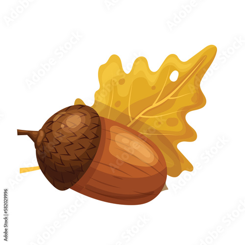 acorn oak leaf cartoon vector illustration