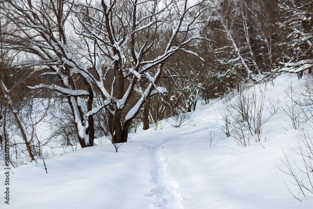 Snow-covered landscape in nature on a winter day Snow-covered landscape in nature on a winter day