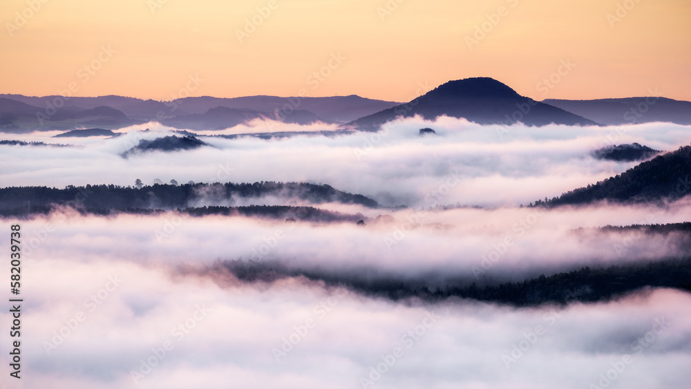 Obraz premium cotton candy - Zuckerwatte