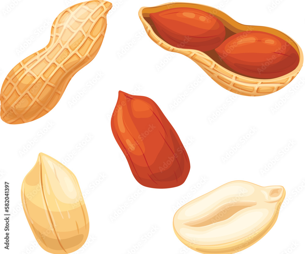 peanut snack food set cartoon vector illustration peanut snack food set cartoon vector illustration