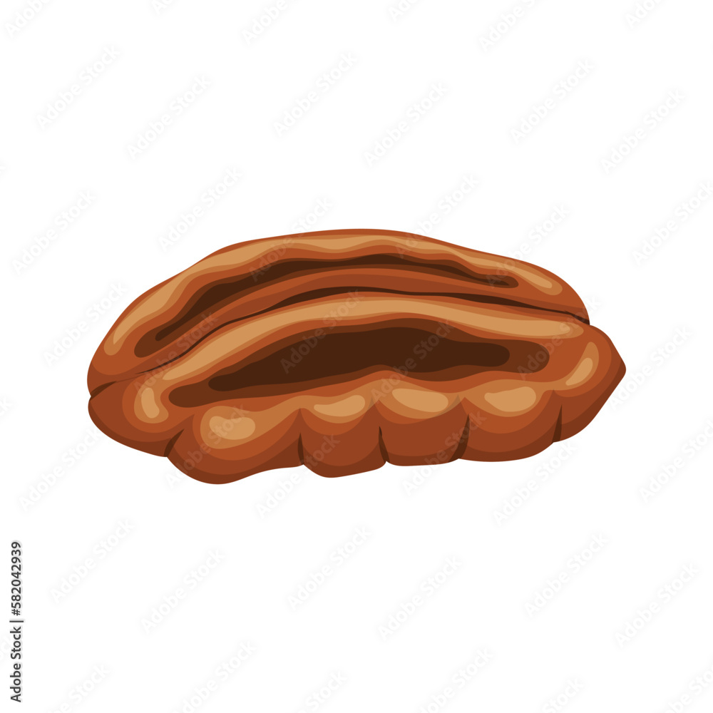 pecan nut food cartoon vector illustration pecan nut food cartoon vector illustration
