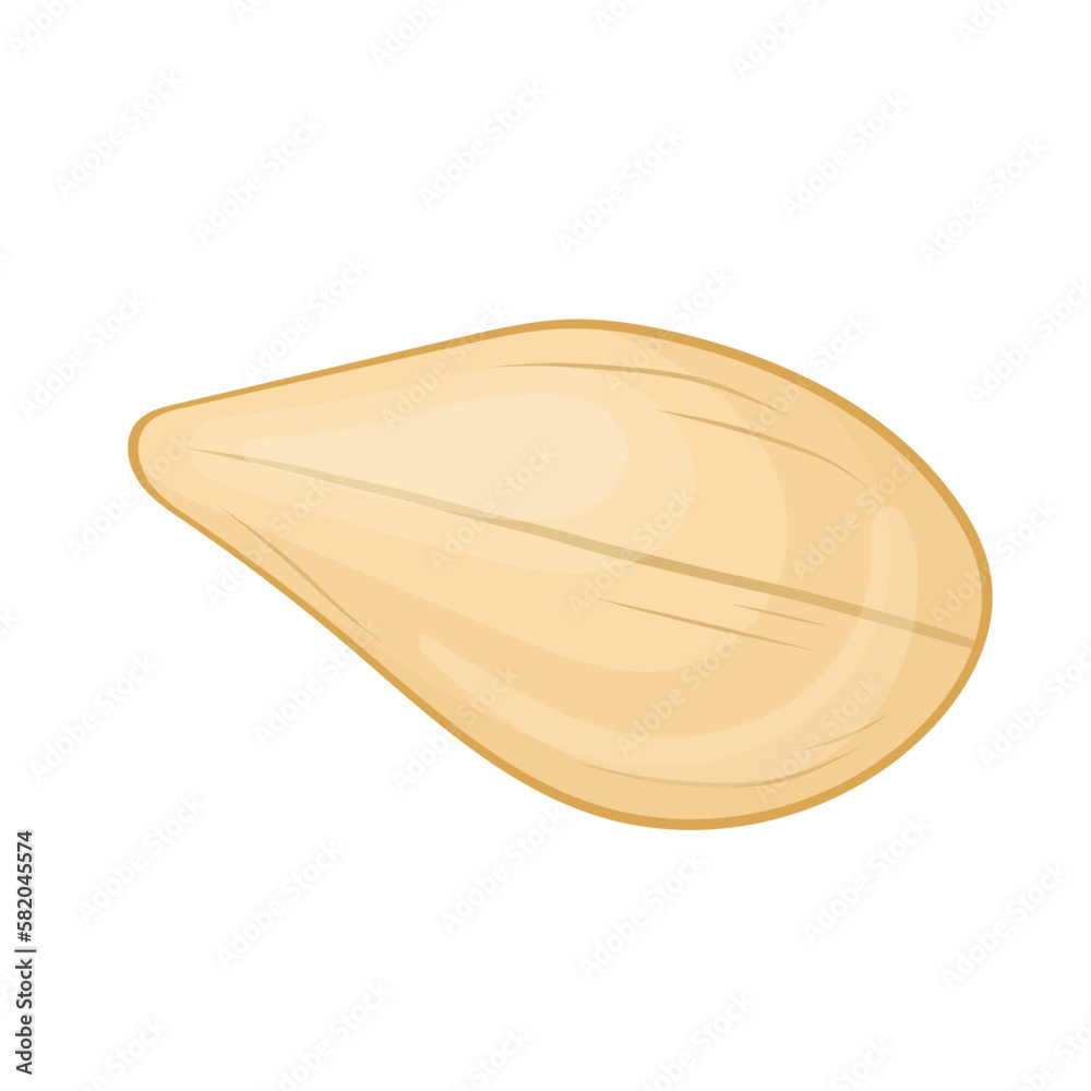 sesame seed white cartoon vector illustration sesame seed white cartoon vector illustration