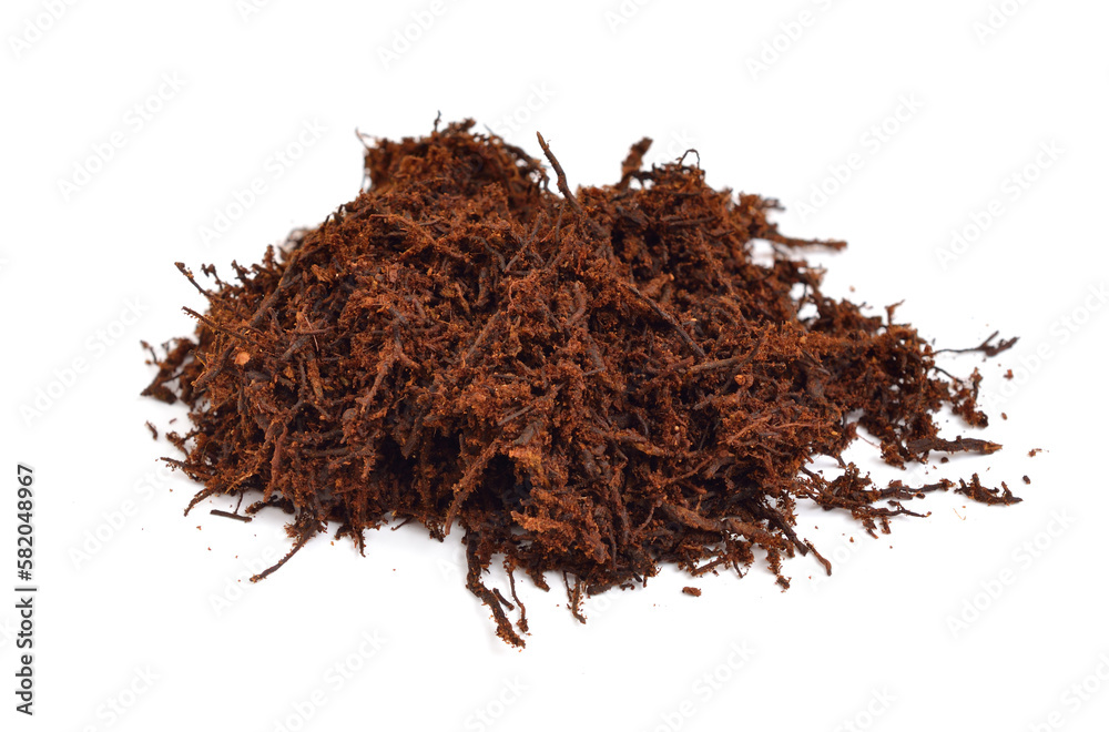 Fototapeta premium Fern root substrate isolated on white background