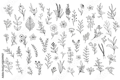 Wild Flower Illustrations - Flower Vector Graphics - Floral Illustration - Cutting Files - Vector Set - Wild Flowers - Leaf - Leaves - Collection - Nature - Transparent - Isolated - Illustrator - PNG	 photo
