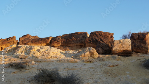Tree trunk fossils are on the bottom of the crater Makhtesh Gadol, in the south of Israel, Negev desert. Petrified wood is completely transitioned to stone by the process of permineralization