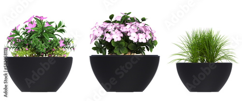 decorative flower in a pot isolated on white background, 3D illustration, cg render