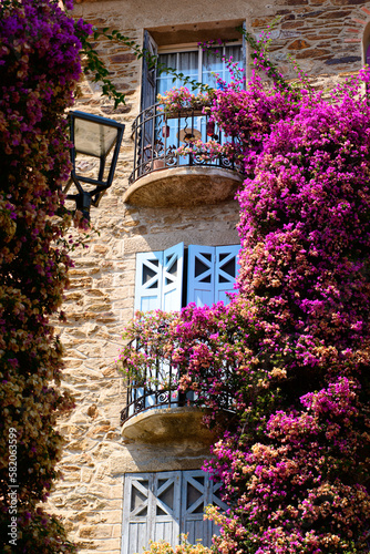 A bright, sunny day at the charming Bormes les Mimosas reveals a beautiful house adorned with flowering plants and trees in its exterior.