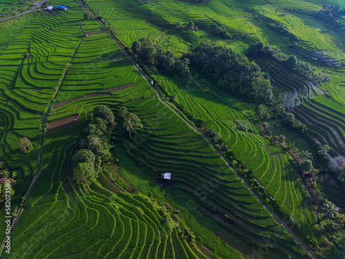 aerial view beautiful morning view from Indonesia about mountain and forest