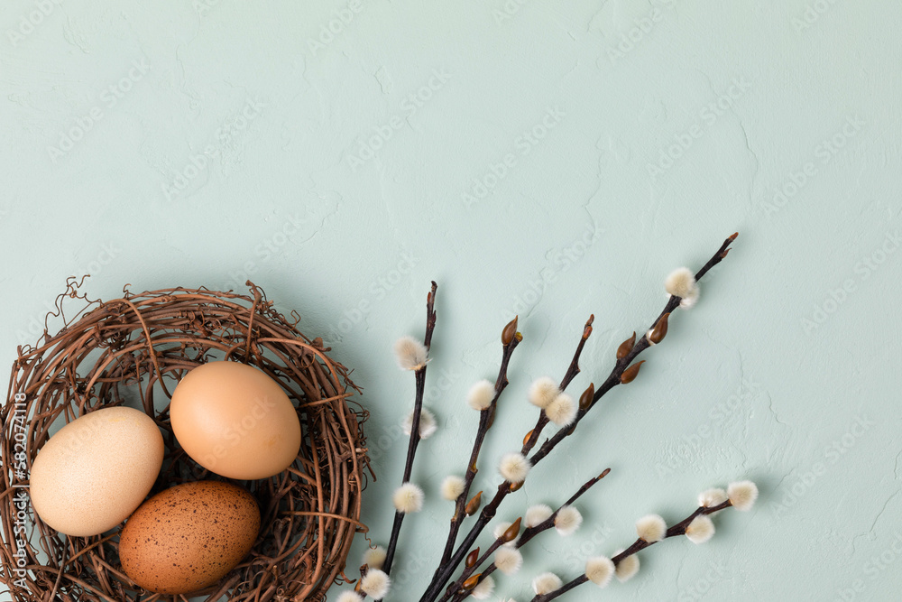 Rustic nest with brown Easter eggs and branches of pussy willow on light blue background. Flat lay, top view with copy space