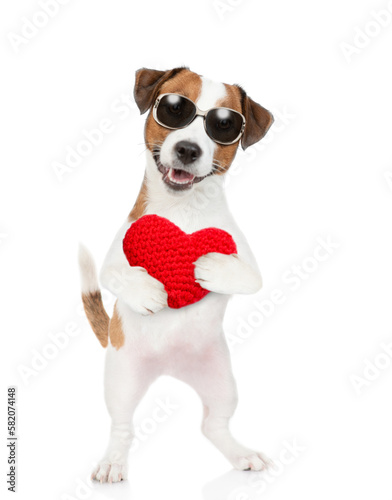 Happy jack russell terrier puppy wearing sunglasses holds red heart. isolated on white background © Ermolaev Alexandr