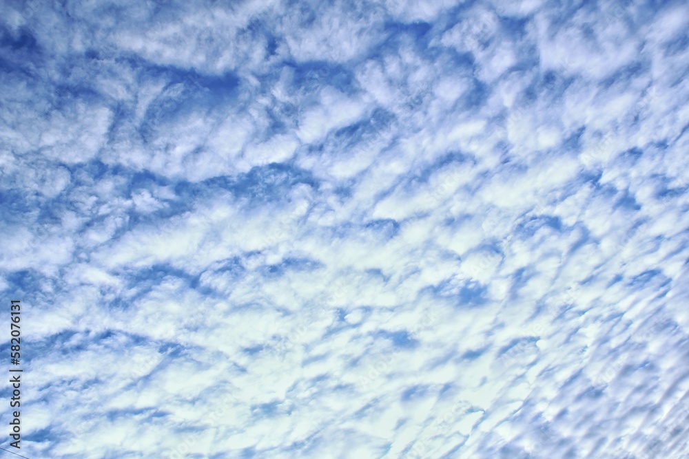 White light soft clouds floating in blue sky. Nature morning landscape background. Clear spring wind. Bright summer day. Winter calm air skyscape. Abstract panorama. Change climate. Low angle view White light soft clouds floating in blue sky. Nature morning landscape background. Clear spring wind. Bright summer day. Winter calm air skyscape. Abstract panorama. Change climate. Low angle view