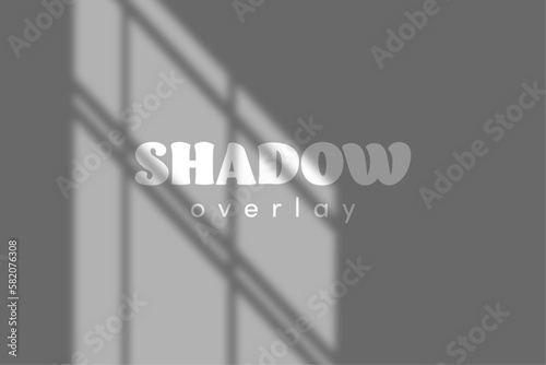 Transparent shadow overlay, window blinds