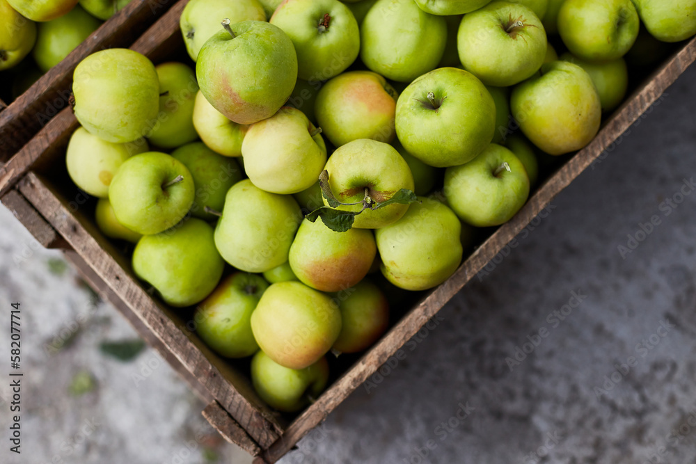 Fresh green apples on the wooden boxes, harvest, space for your text, local market or supermarket, Ukraine apples. Fresh green apples on the wooden boxes, harvest, space for your text, local market or supermarket, Ukraine apples.