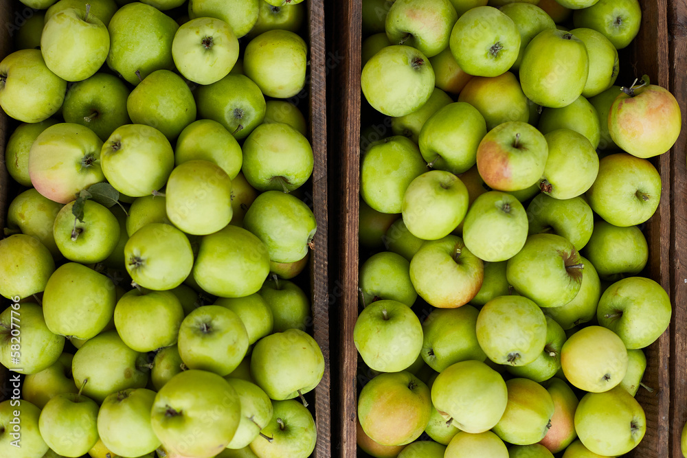 Fresh green apples on the wooden boxes, harvest, space for your text, local market or supermarket, Ukraine apples. Fresh green apples on the wooden boxes, harvest, space for your text, local market or supermarket, Ukraine apples.