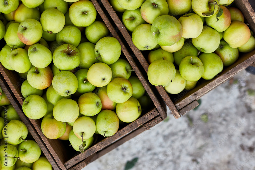 Fresh green apples on the wooden boxes, harvest, space for your text, local market or supermarket, Ukraine apples. Fresh green apples on the wooden boxes, harvest, space for your text, local market or supermarket, Ukraine apples.