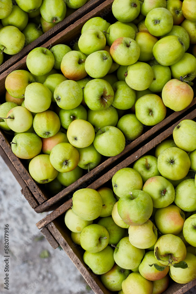 Fresh green apples on the wooden boxes, harvest, space for your text, local market or supermarket, Ukraine apples.