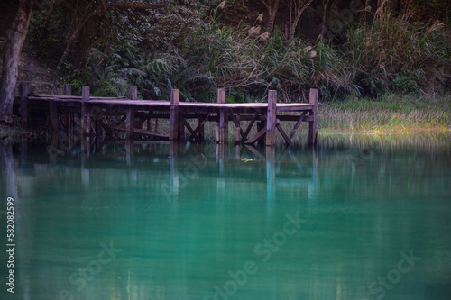 Green branches, lake water and a small wooden pier. A lively and fresh painting. Spring is the best time for walking trails and lake tours. Xinshan Dream Lake, Taiwan